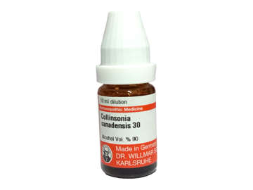 Picture of Collinsonia Canadensis 30 10ml