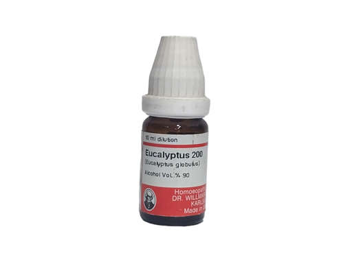 Picture of Eucalyptus 200 10ml Pot