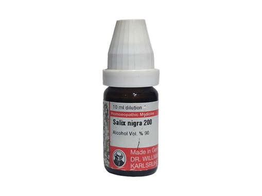 Picture of Salix Nigra 200 10ml Pot