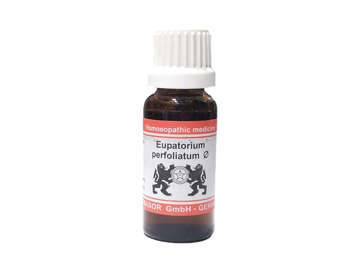 Picture of Eupatorium Perfolitum Q 10ml