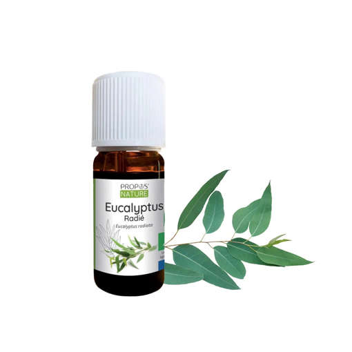 Picture of Eucalyptus 30 10ml Pot