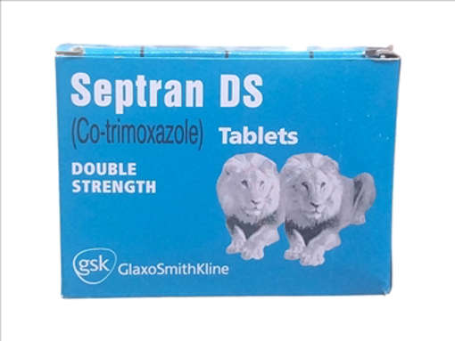 Picture of Septran Ds Tab 1x100s