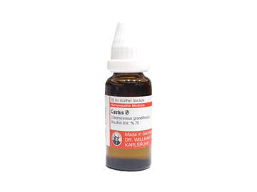 Picture of Cactus Q 20ml