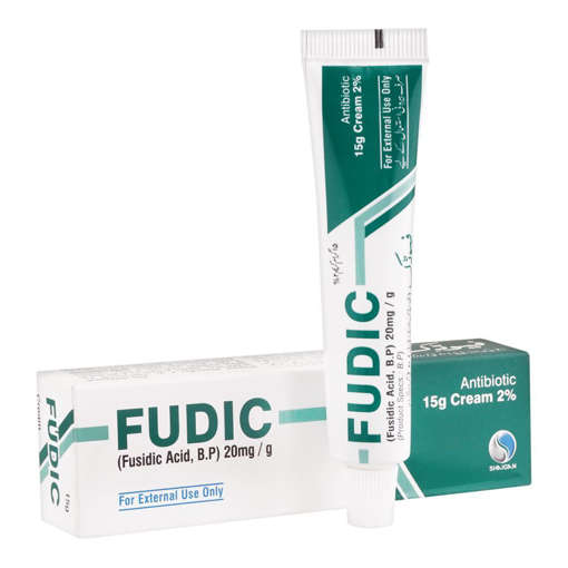Picture of Fudic Cream 15g